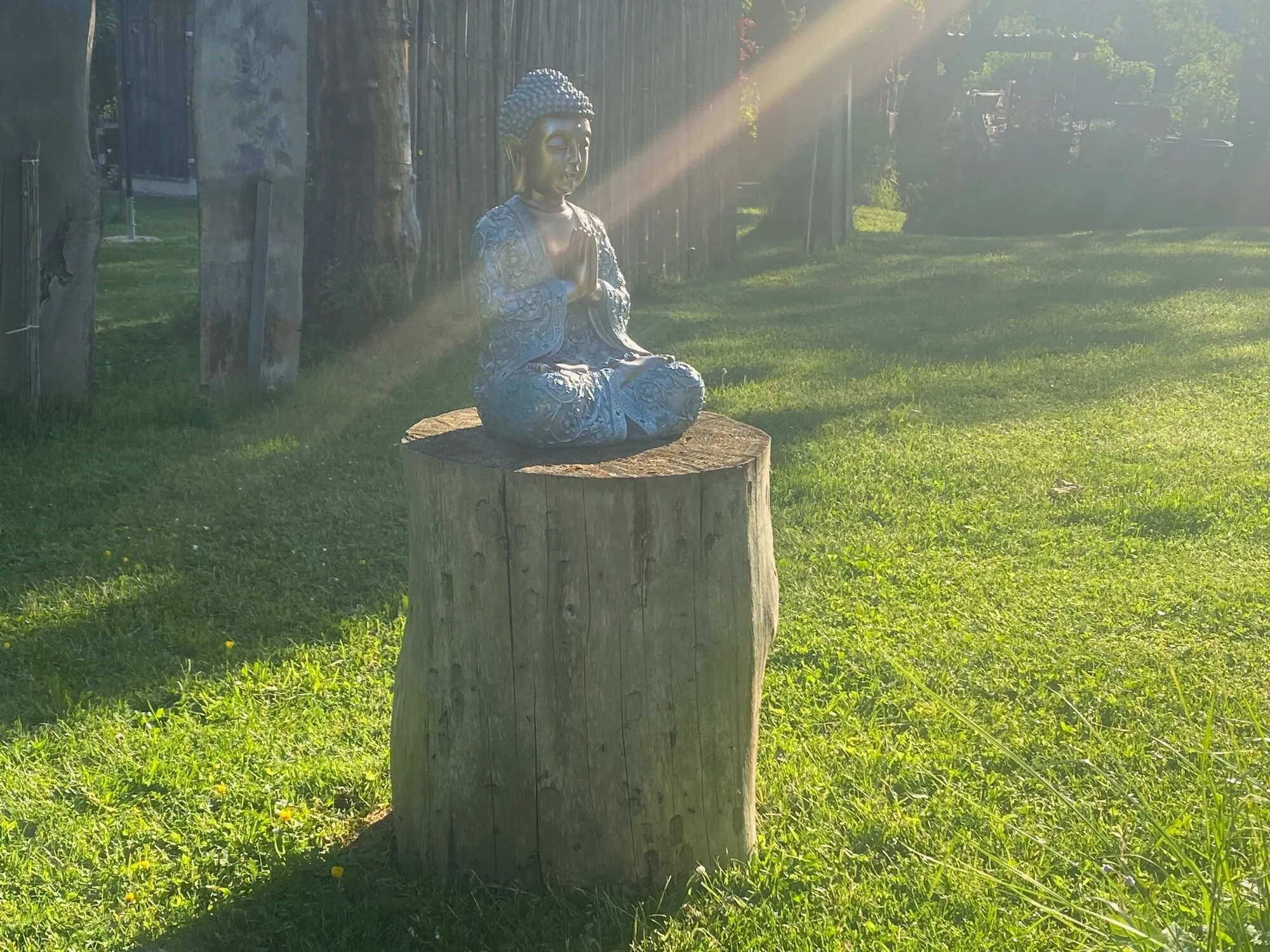 Buddhafigur auf einem Baumstumpf in der Morgensonne